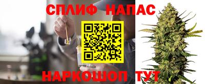 spice Баксан