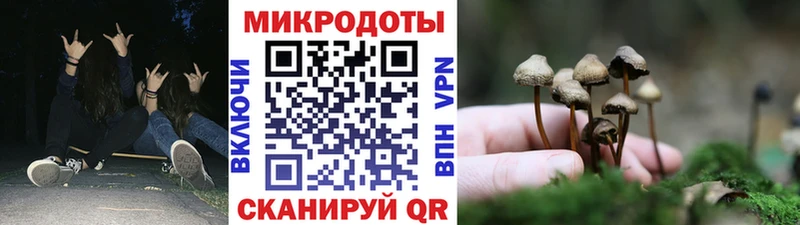 omg зеркало Североуральск Галлюциногенные грибы Psilocybe