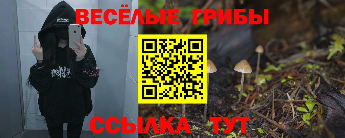 Североуральск  Псилоцибиновые грибы Cubensis  Вход с VPN 